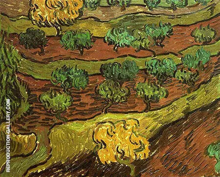 Olive Trees Against a Slope of a Hill November 3084 By Vincent van Gogh