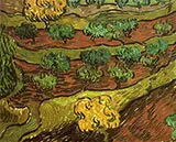 Olive Trees Against a Slope of a Hill November 3084 By Vincent van Gogh