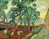 Asylum Garden of St Remy By Vincent van Gogh