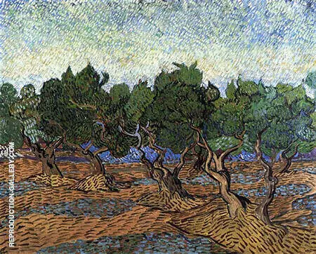 Olive Grove c 1889 By Vincent van Gogh