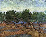 Olive Grove c 1889 By Vincent van Gogh