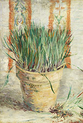 Flowerpot with Chives 1887 By Vincent van Gogh