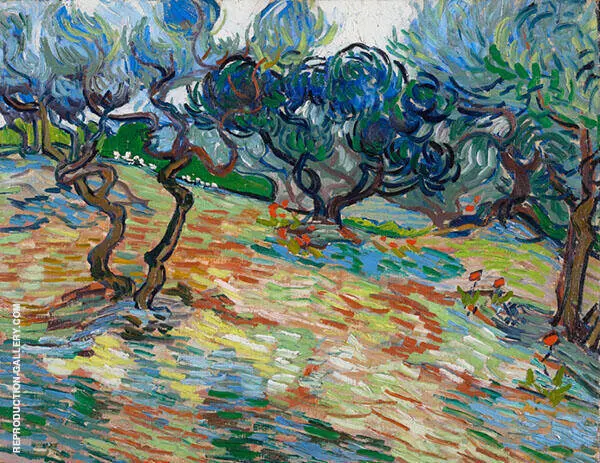 Olive Trees 1889 By Vincent van Gogh