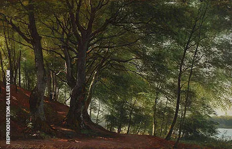 Forest Scene Soro Denmark 1880 By Carl Frederik Aagaard