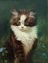 Tuxedo Kitten By Sidney Lawrence Brackett