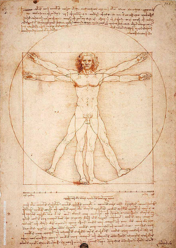 Vitruvian Man by Leonardo da Vinci | Oil Painting Reproduction