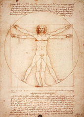 Vitruvian Man By Leonardo da Vinci