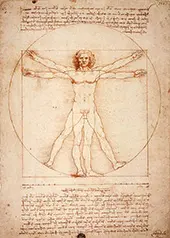 Vitruvian Man By Leonardo da Vinci