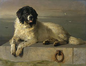 A Distinguished Member of The Humane Society 1838 By Edwin Henry Landseer