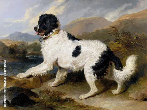 Lion a Newfoundland Dog 1824 By Edwin Henry Landseer