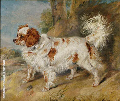 Mr Plumbers Dog 1819 By Edwin Henry Landseer