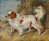 Mr Plumbers Dog 1819 By Edwin Henry Landseer