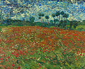 Field with Poppies 1890 By Vincent van Gogh