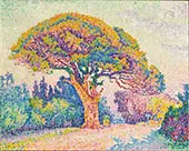 The Pine Tree at Saint Tropez 1909 By Paul Signac