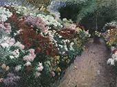 Chrysanthemums By Dennis Miller Bunker