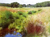 Marshland Medfield 1890 By Dennis Miller Bunker