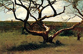 Tree 1885 By Dennis Miller Bunker