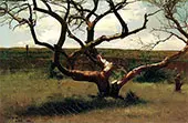 Tree 1885 By Dennis Miller Bunker