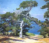 Carmel Pine 1918 By Guy Rose