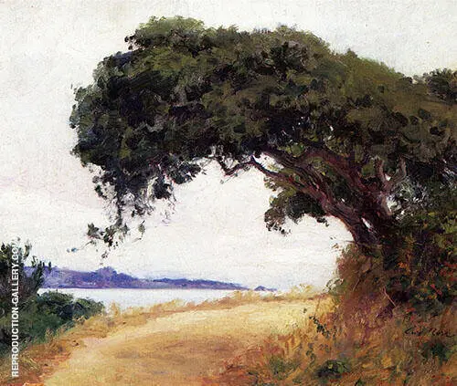 Point Lobos Oak Tree 1918 By Guy Rose