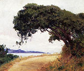 Point Lobos Oak Tree 1918 By Guy Rose