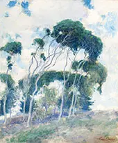 Study for Windswept Trees Laguna 1917 By Guy Rose