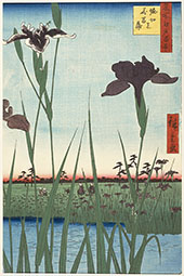 Horikiri Iris Garden By Hiroshige