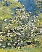 Magnolia 1945 By Cuno Amiet
