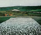 Flower Meadow in the North 1905 By Harald Sohlberg