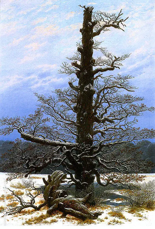 The Oak Tree in The Snow 1829 By Caspar David Friedrich