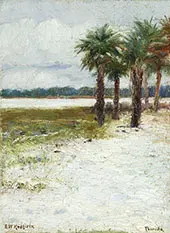 Florida By Edward Willis Redfield