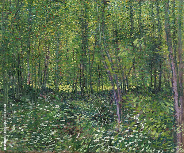 Trees and Undergrowth Summer 1887 By Vincent van Gogh