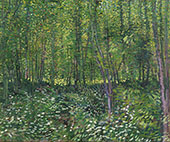 Trees and Undergrowth Summer 1887 By Vincent van Gogh