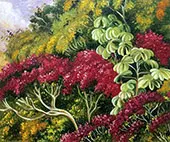 A Bank of Quaresma and Trumpet Trees Brazil By Marianne North