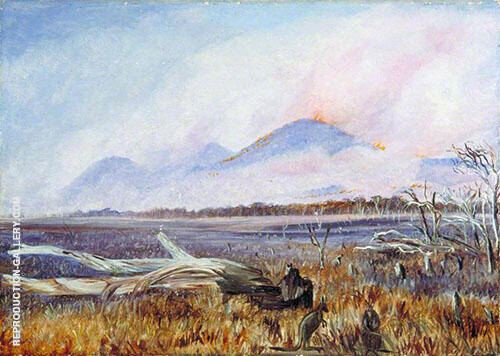 A Bush Fire at Sunset Queensland 1880 | Oil Painting Reproduction