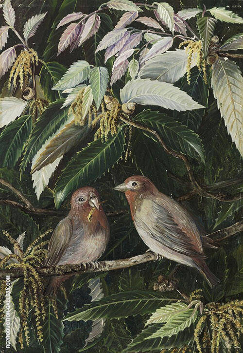 A Himalayan Oak and Birds Nainee Tal India | Oil Painting Reproduction