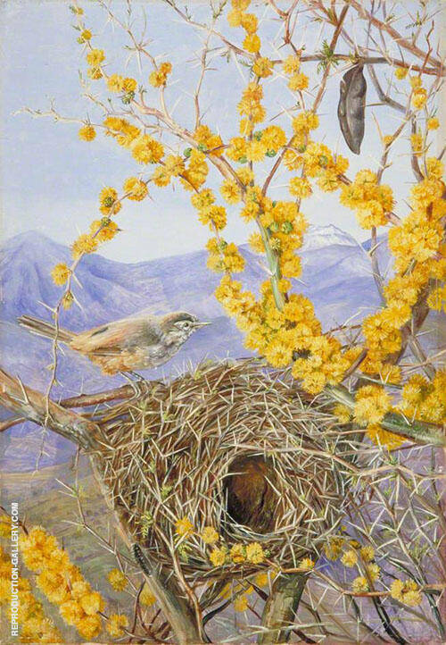 Armed Bird's Nest in Acacia Bush Chili 1880 | Oil Painting Reproduction