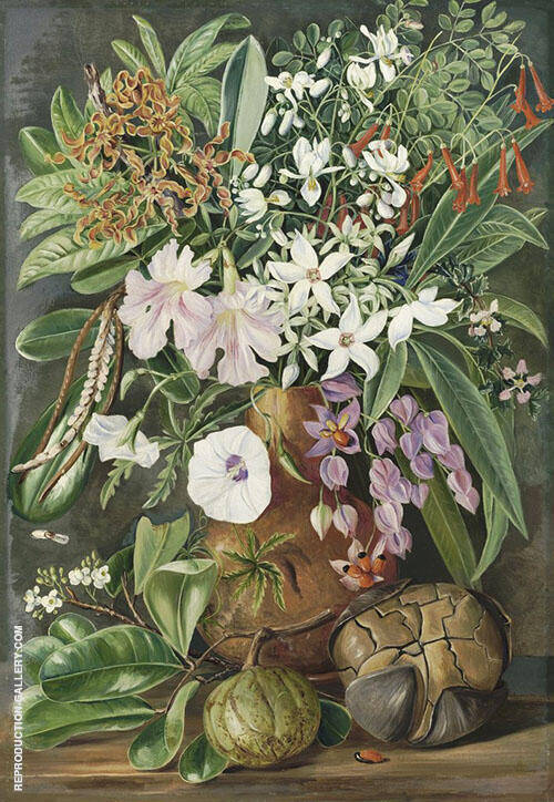 A Selection of Flowers Wild and Cultivated with Puzzle Nut Mahe | Oil Painting Reproduction