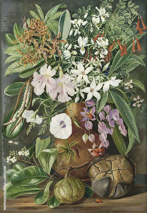 A Selection of Flowers Wild and Cultivated with Puzzle Nut Mahe By Marianne North
