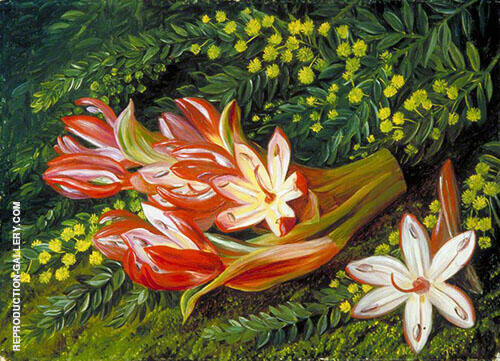 Australian Spear Lily and an Acacia 1880 | Oil Painting Reproduction