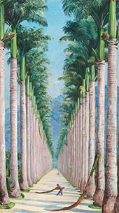 Avenue of Royal Palms at Botafogo Brazil 1880 By Marianne North
