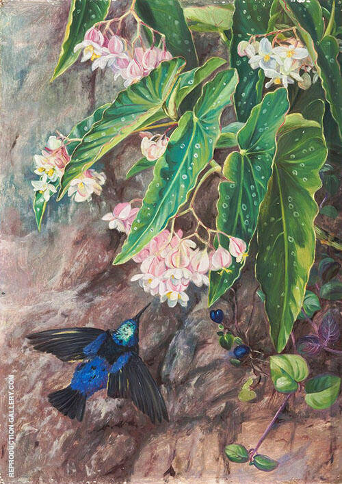 Brazilian Flowers 1880 by Marianne North | Oil Painting Reproduction