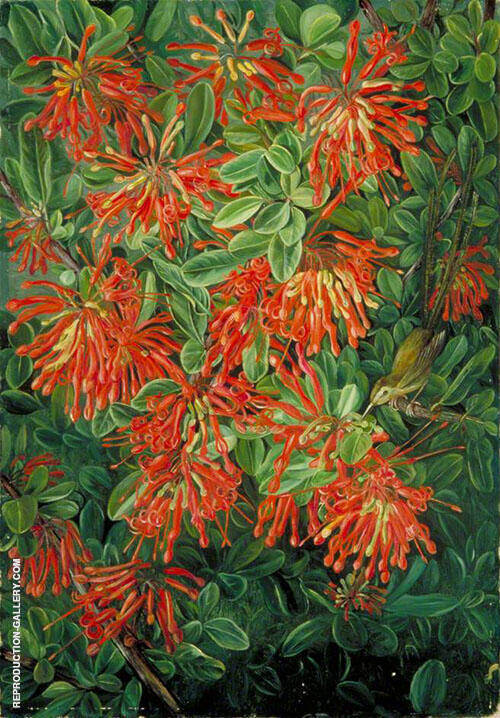 Burning Bush and Emu Wean of Chili 1880 | Oil Painting Reproduction