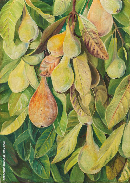 Cabazina Pears Brazil 1880 by Marianne North | Oil Painting Reproduction