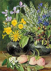 Chilean Flowers in Twin Mate Pot and Chili and Strawberries 1880 By Marianne North