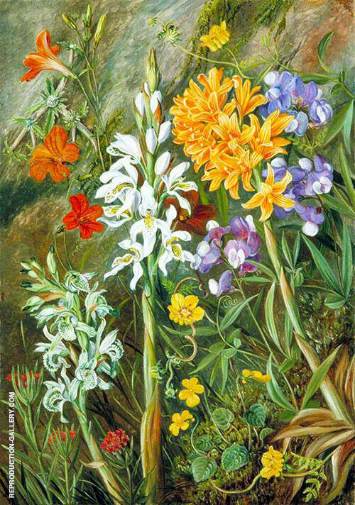 Chilean Ground Orchids and Other Flowers 1880 | Oil Painting Reproduction