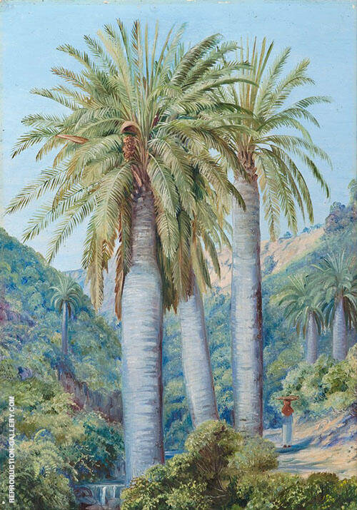 Chilean Palms in The Valley of Salto 1880 | Oil Painting Reproduction
