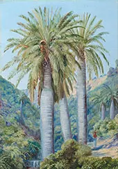 Chilean Palms in The Valley of Salto 1880 By Marianne North