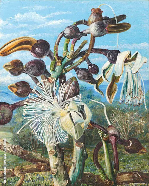 Flowers of a Brazilian Forest Tree 1880 By Marianne North