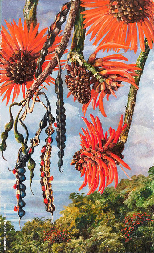 Flowers of Another Kind of Coral Tree 1880 | Oil Painting Reproduction